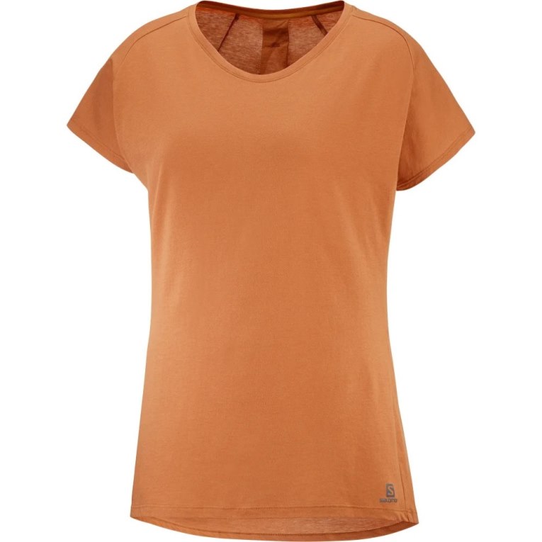 Camiseta Salomon Essential Shaped Curta Sleeve Feminino Marrom | PT T76931